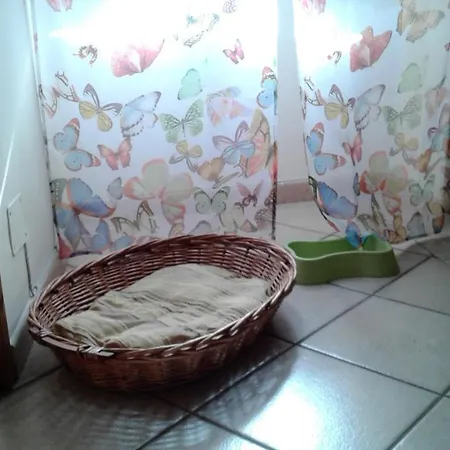Alojamento de Acomodação e Pequeno-almoço Casa Sul Corso *
